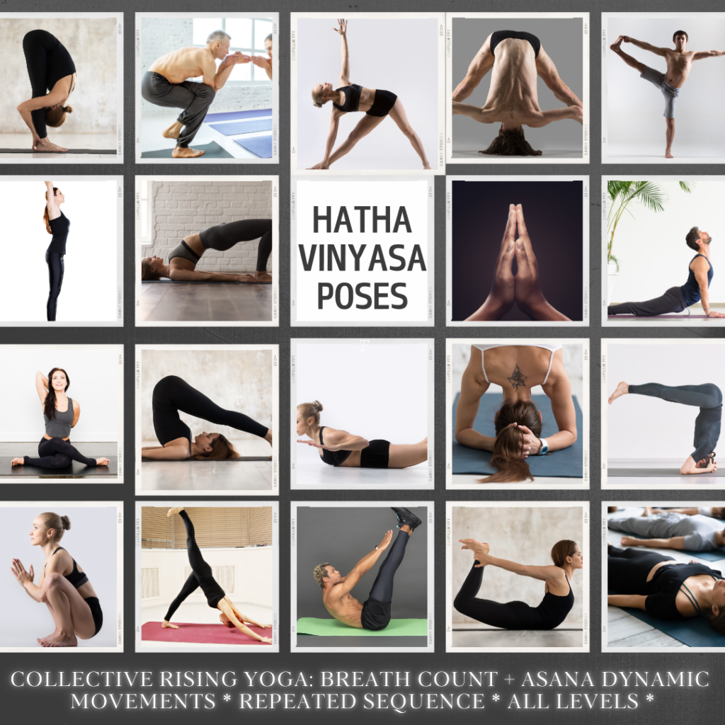 Some of the yoga vinyasa postures. Modified for beginners.